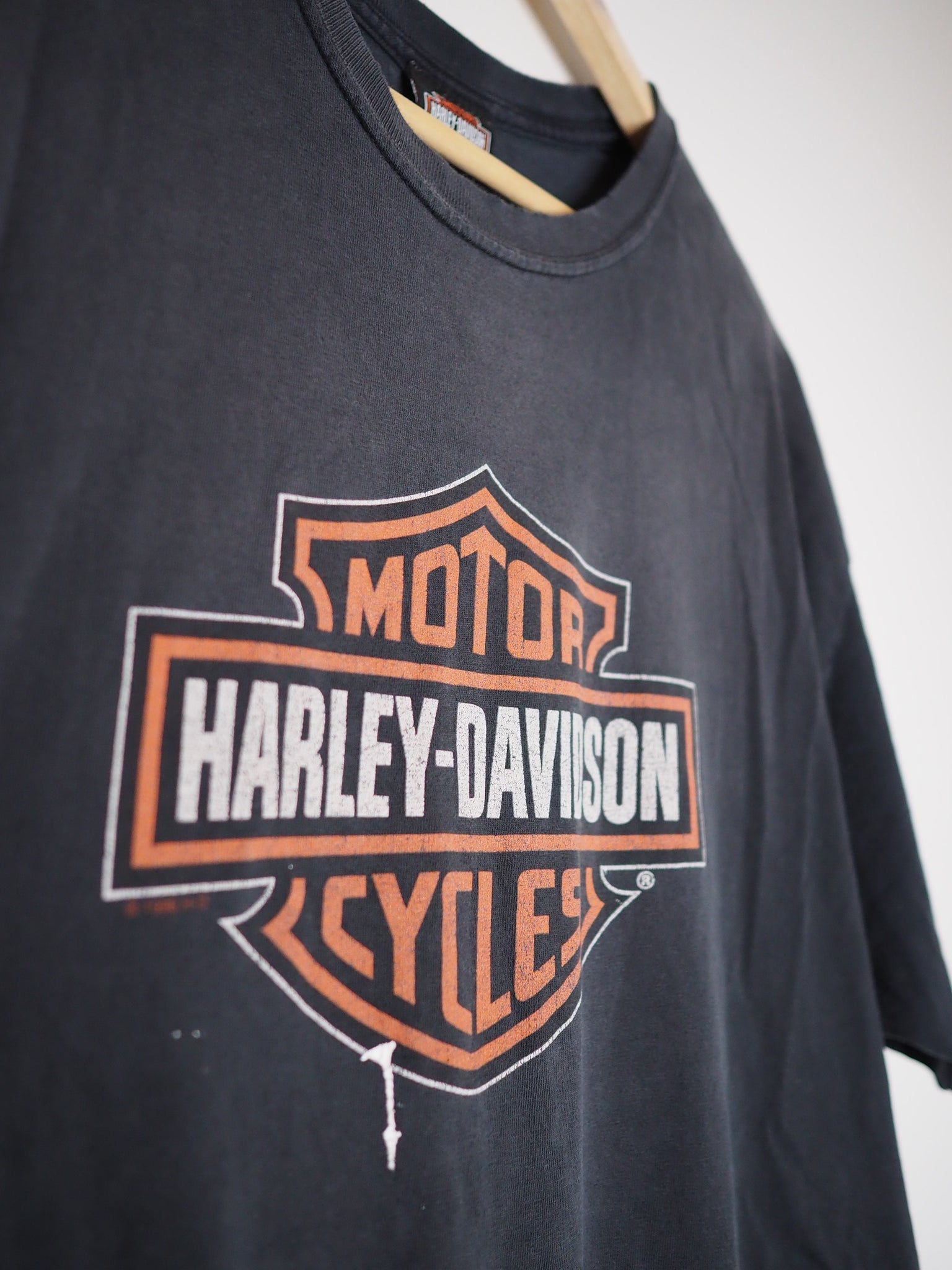 Harley Davidson Big Logo Paint