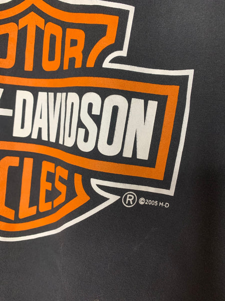 Harley Davidson Big Logo Brasil T-shirt 2005