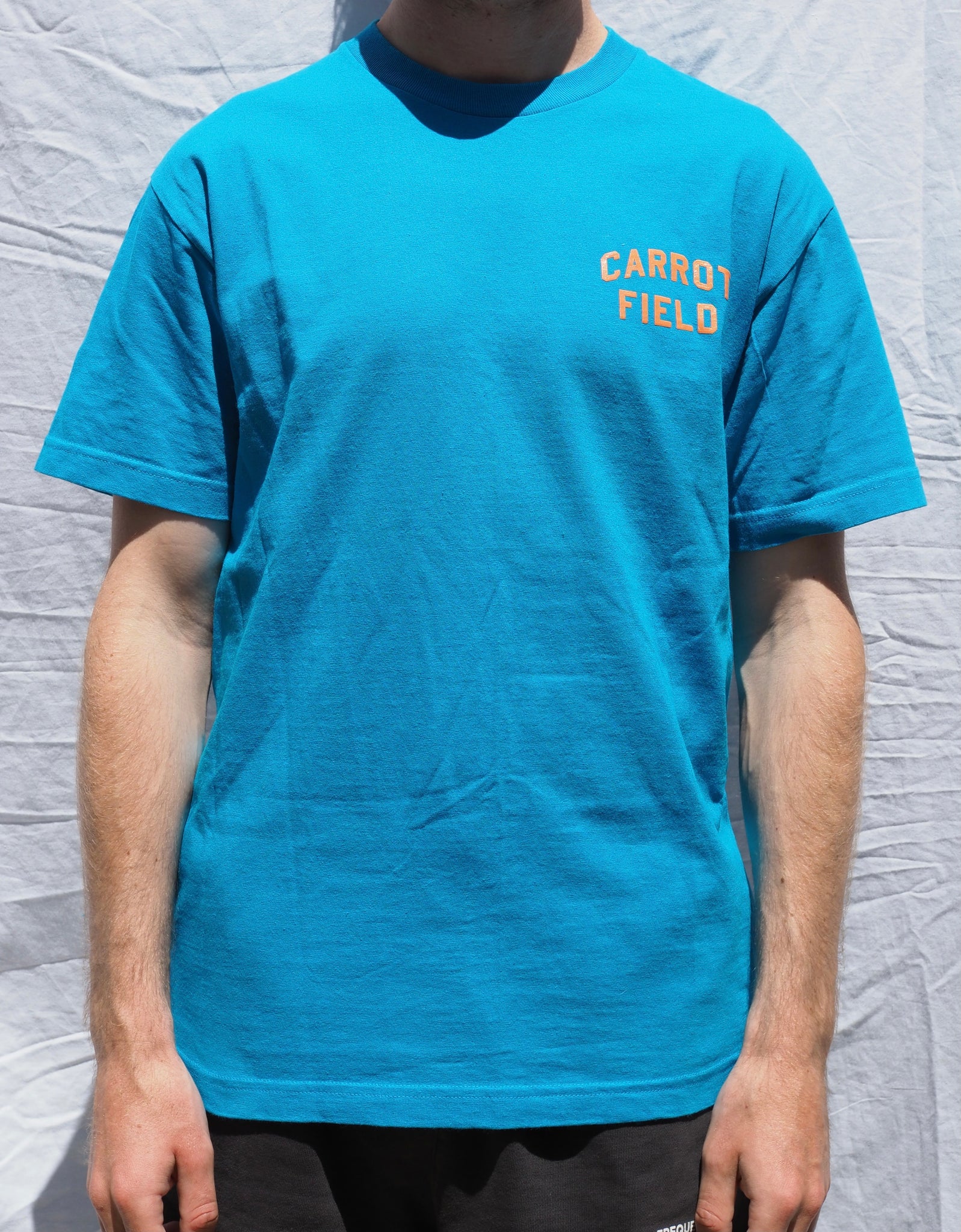 Carrots by Anwar Carrot - Carrot Field Blue T-shirt
