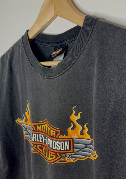 Harley Davidson Flames Hawkeye Iowa