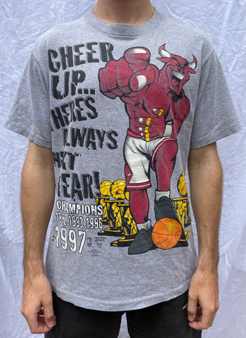 Vintage NBA Chicago Bulls Champions T-shirt with Bull