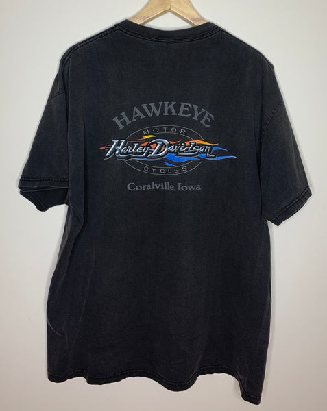 Harley Davidson Flames Hawkeye Iowa